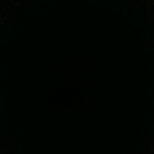 Meet your Posher, Lane